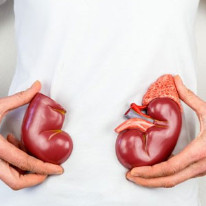 Kidney Transplantation in Narasaraopet